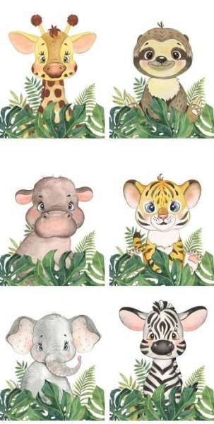 Pin by Cuarto InfantilJassiel Lael on sublimar | Safari baby animals, Baby animal drawings, Baby animals