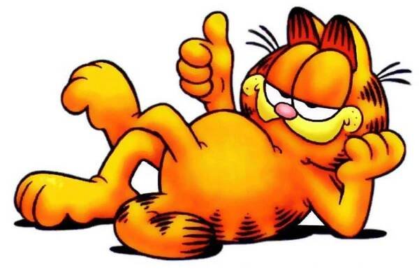Drzý, tlustý a neustále
hladový kocour Garfield