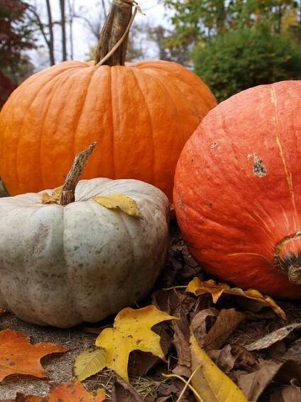 three pumpkins sitting on the ground with leaves around them