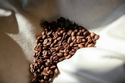 Pravidelná dávka kávy pomůže ochránit vaši játra. Kolik byste jí měli vypít?
