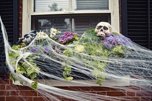 Halloweenská výzdoba, kterou zvládnete vy i vaše děti! Dýně, netopýři a další dekorace