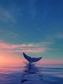 Fotografie, Obraz A whale dives