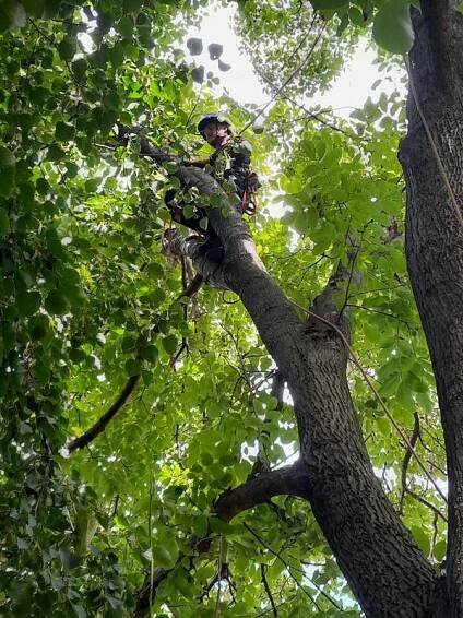 Tomáš Kopřiva - Arboristika a rizikové kácení foto 5