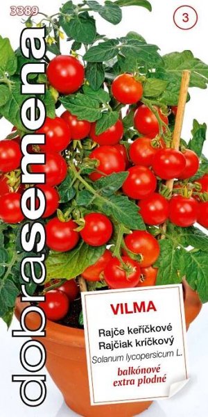 Rajče balkonové Vilma 50s - DOBRÁ SEMENA