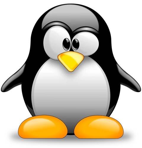 Jak postupovat při práci s operačním systémem Linux? | rady | jaktak.cz