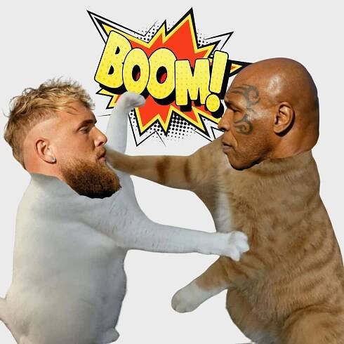 Mike Tyson vs. Jake Paul: O co se hraje a kde můžeš zápas sledovat?