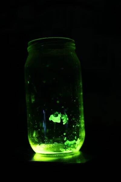 The glow of phosphorus in air is chemiluminescence and not phosphorescence.