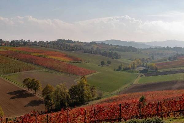 The Ultimate Emilia Romagna Travel Guide 2025: What to Eat & See - The Travel Folk