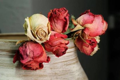 Tipy, jak začlenit sušené květiny do vaší dekorace