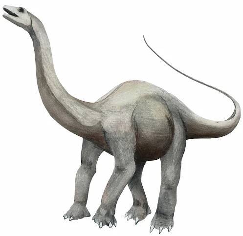 Paleocene dinosaurs | Fossil Wiki | Fandom