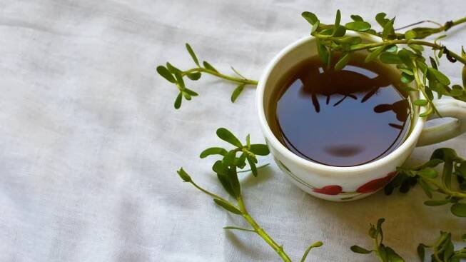 5 benefits of drinking Brahmi tea daily for sharpening memory