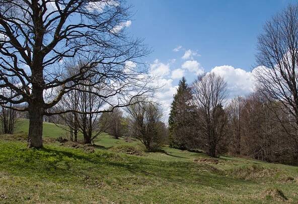Prales Mionší – Velká Polana – Vchazenidoobrazu.cz
