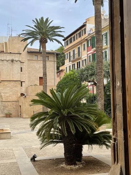 Courtyard views of the Llotja