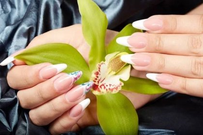 Ruce s dlouhou umělé francouzské pěstěné nehty drží květ orchideje — Stock fotografie