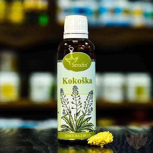 Kokoška - tinktura z bylin