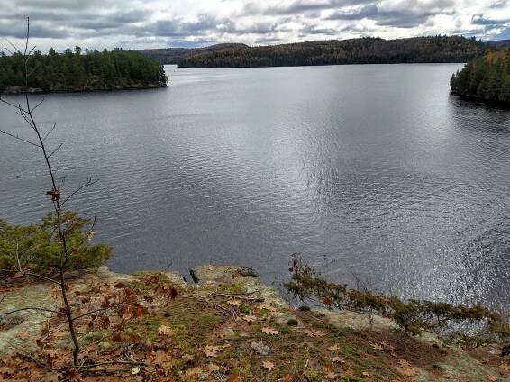 Rock Lake (Algonquin Park)