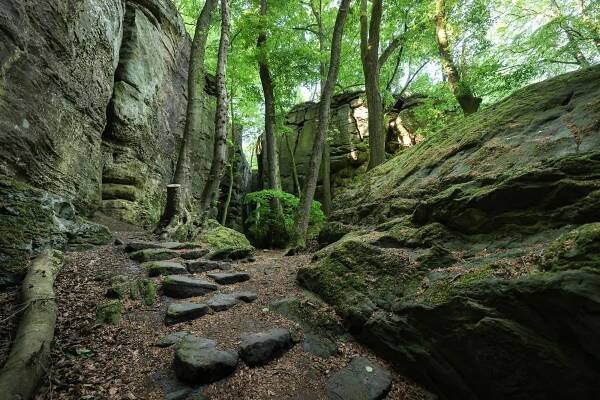 Hiking made easy: seven trails less than 7km