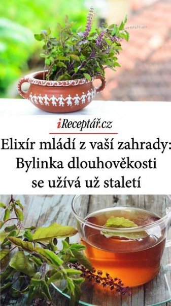 Liečivé Bylinky, Léčivé Rostliny, Imunitní Systém, Přírodní Léky, Přírodní Léčba, Zdravý Život, Bylinky, Rostliny, Nápoje
