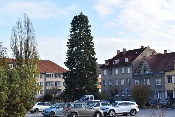 Lysá nad Labem zahájí advent. Vánoční strom se rozsvítí už tuto sobotu