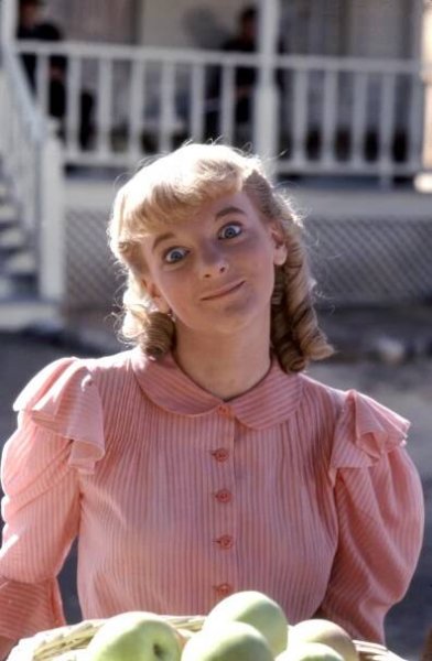 Little House on the Prairie Alison Arngrim, 1974-1983