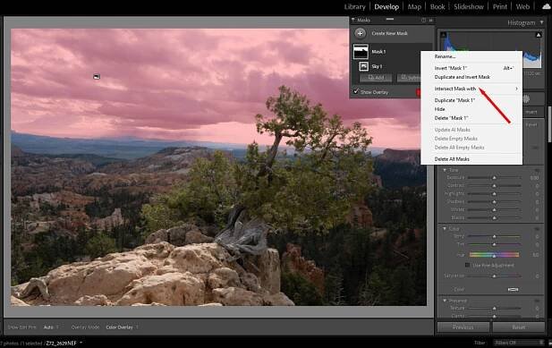 Masking in Lightroom & Adobe Camera Raw – UCSD Photography Interest Group