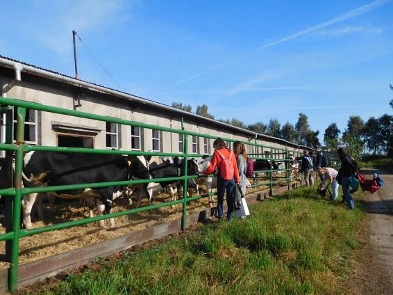 Exkurze k volbě povolání do ZOD Slezská Dubina Větřkovice a na Koňský ranč pana Kostery – Základní škola Odry Pohořská