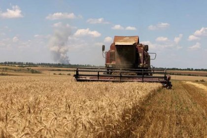 Slowdown in EU agricultural price rises