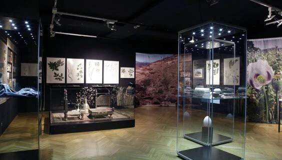 Ostravské muzeum | Muzea a historie Ostrava | NaVylet.cz