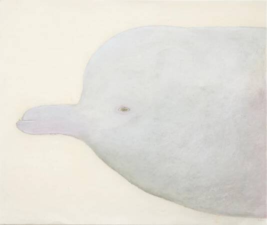 animal portrait i“ iru “ | ado(makiko watanabe) homepage