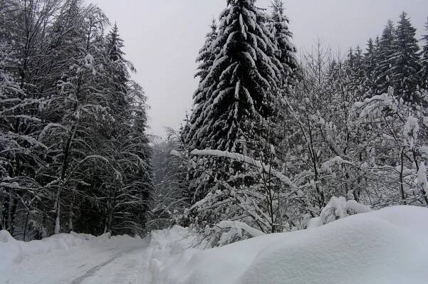 Lysá pod Makytou, Slovakia