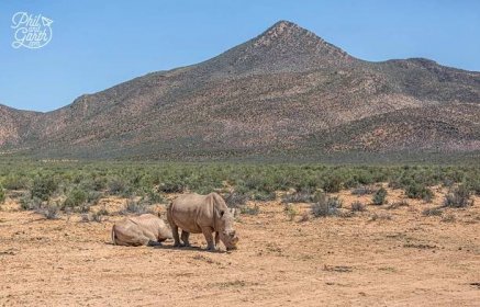 2 Rhinos at the Aquila Game Reserve