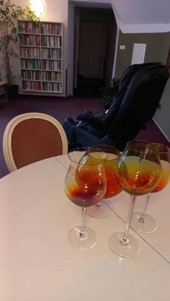 Restaurace a hotel Bílá paní s.r.o., Jindřichův Hradec | Hotel.cz