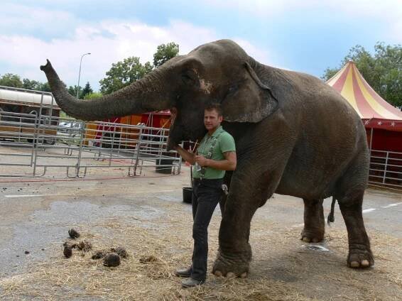 Cirkus Berousek přivezl svou malou zoo