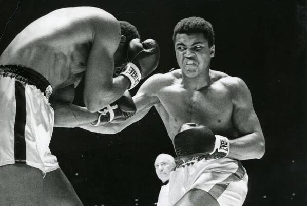 Float like a butterfly, sting like a bee!