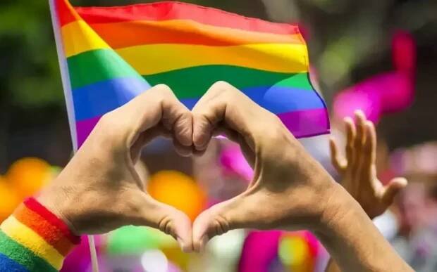 Galerie: Maďarsko pokračuje v boji proti ideologii LGBT. Plánuje zakázat tzv. pochody hrdosti - Galerie - Echo24.cz