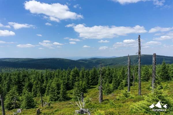 Po českopolské hranici na Polskou horu v Rychlebských horách | Horama