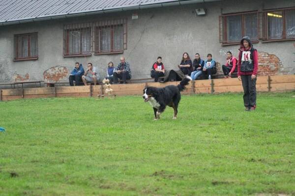 ZKO Rychvald – Rychvaldský závod