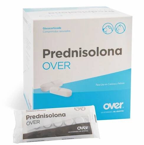 Prednisolone pbs online