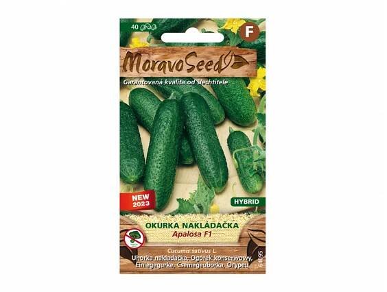 Okurka nakládačka jemnoostná Apalosa F1 - Moravoseed - Zahradnidum.cz
