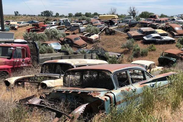 The Junkyard Life
