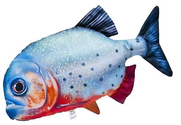 Piraňa červená - natterera 47 cm
