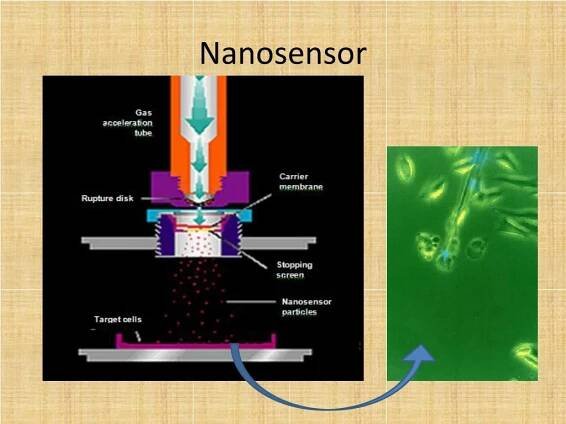 PPT - Nanomaterials PowerPoint Presentation, free download - ID:1377773