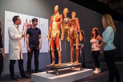 V Praze otevřela své brány největší výstava o lidském těle Body The Exhibition | EVROPA 2