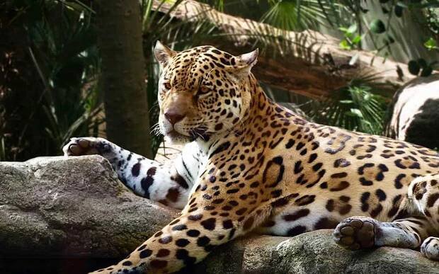 Barcelona Zoo Barcelona • Review by Barcelona Life 2025