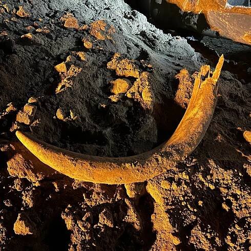 Coal miners in North Dakota unearth a mammoth tusk buried for thousands of years