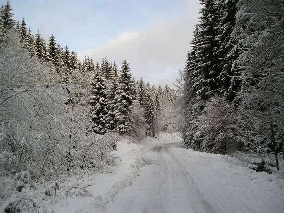 Lysá pod Makytou, Slovakia