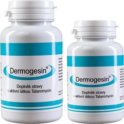 Gesmed Biotec Dermogesin 60 kapslí