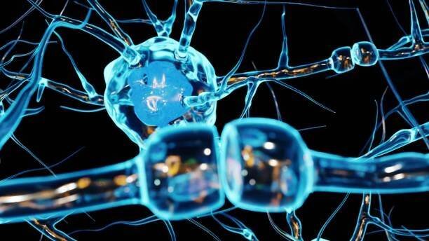 nervové buňky uvnitř mozku spolu komunikují - neuropatie - stock snímky, obrázky a fotky