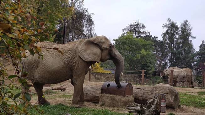 Žáci primy v ZOO – Zemědělská akademie a Gymnázium Hořice