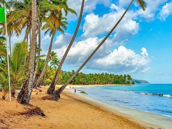 Viva V Samana by Wyndham 22